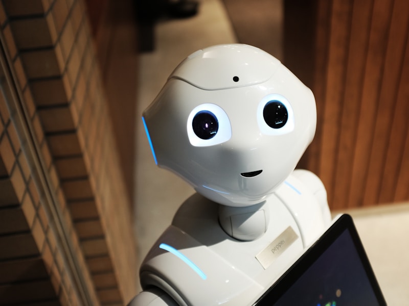 Human-centred technology represented by a social robot